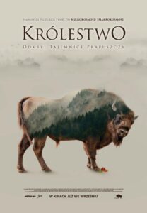 Strona Główna