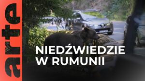 Strona Główna