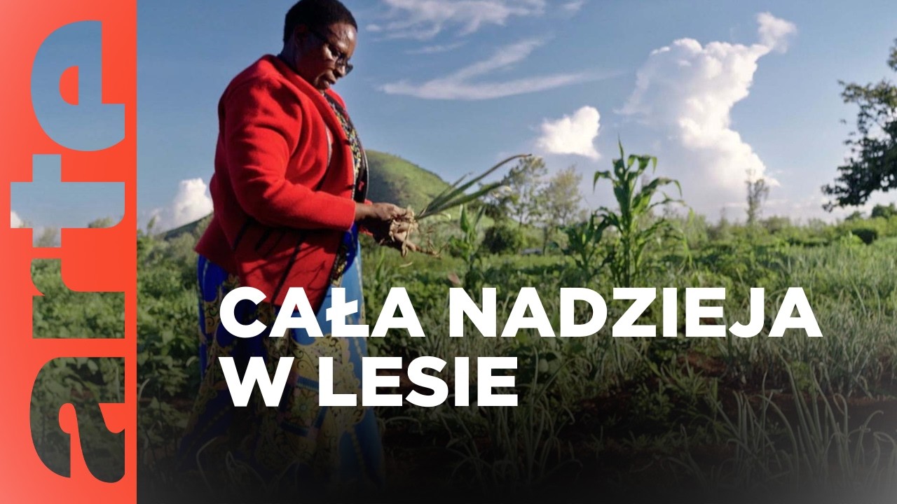 Kenia: nadzieja